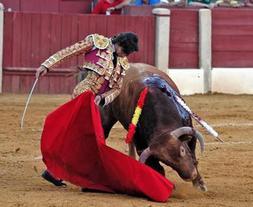 El linarense Curro Díaz acudió a Baeza muy predispuesto y cuajó una buena tarde. /ENRIQUE