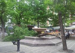 El árbol ha caído sobre la fuente de la Plaza de Gracia :: ALBERTO ROMERO