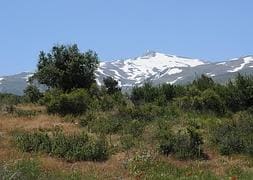 Sierra Nevada torna al verde