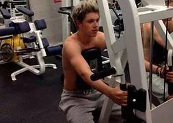 One Direction, Niall Horan y Liam Payne, sudorosos en el gimnasio (vídeos)