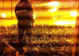 Un policía local en la vivienda donde hallaron las 400 plantas. :: IDEAL