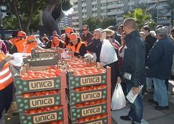 Miembros de UPA Almería reparten tomates y calabacines a los ciudadanos en la Rambla de la capital. :: J. E. R.