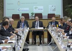 Pedro Sabando, Juan Cano Bueso, presidente del Consejo Consultivo de Andalucía, y Julio Sánchez presidieron la reunión. :: GONZÁLEZ MOLERO