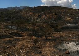 Imagen del incendio forestal en Lucainena de las Torres ( Almería ). :: EFE