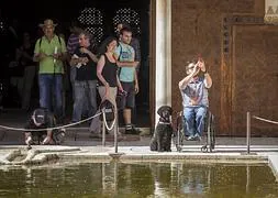 Un turista en silla de ruedas, acompañado de un perro-guía, hace un foto del Palacio de los Arrayanes de la Alhambra. :: ALFREDO AGUILAR