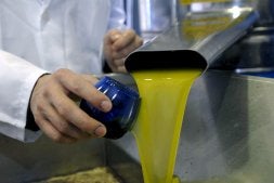 Toman muestras de aceite para una cata. /IDEAL