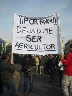 La crisis del aceite 'arrastra' a Madrid a miles de jienenses