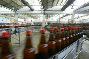 La cadena de envasado de la fábrica de Heineken, situada en la Imora, ha funcionado al cien por cien durante este año. ::                             FRANCIS J. CANO