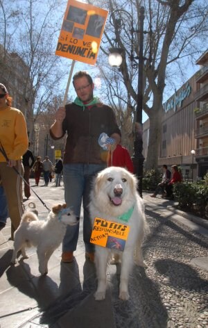 Manifestación perruna contra el maltrato animal en Granada. :: J. O.