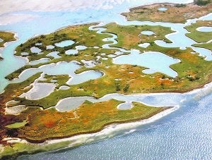 Las islas barrera son importantes refugios de vida salvaje. :: AP