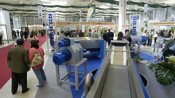 Imagen de archivo de Ecoliva. 