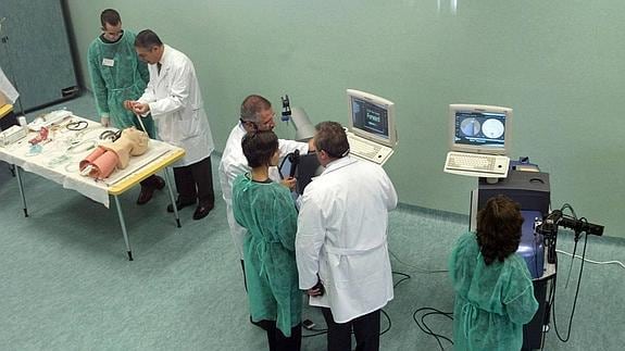 Alumnos de Medicina hacen prácticas en un laboratorio. 