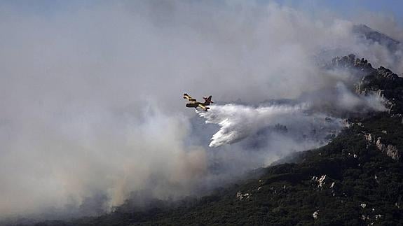 Un incendio amenzana al Parque de los Alcornocales