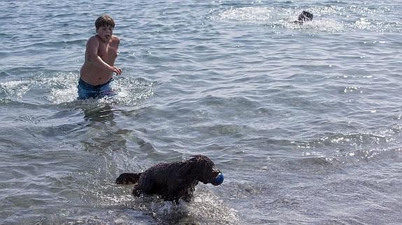 Un niño y su perro juegan en Playa Can, en Motril.