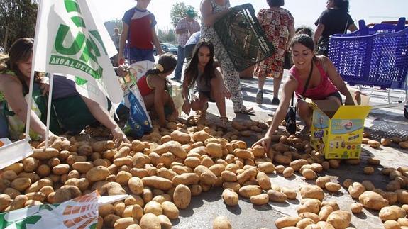 Granadinos recogen algunas de las patatas que la organización UPA ha arrojado a las puertas de un hipermercado de Pulianas ( Granada ) para protestar por el "estrangulamiento" de los precios 
