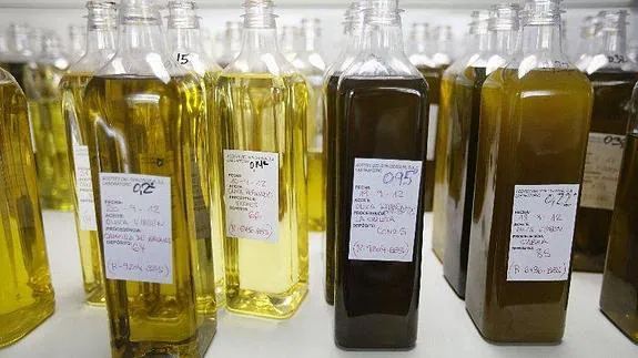 El aceite de oliva virgen extra solo se encarece un 29 % desde el origen