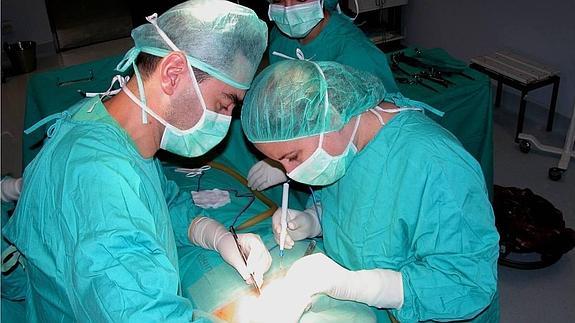 Los doctores Villar y Muñoz hacen la novedosa cirugía. 