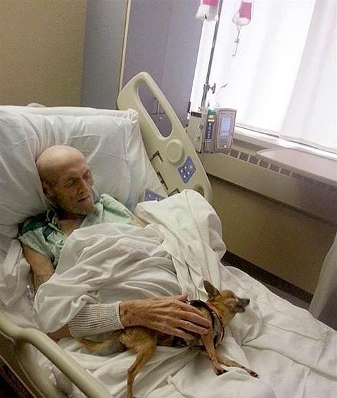 Separaron a un anciano hospitalizado de su perro y al verlo ambos mejoraron