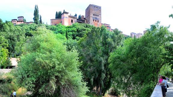 La Alhambra mira al futuro