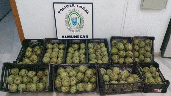 Decomisados 150 kilos de chirimoyas en el rastrillo solidario de Almuñécar