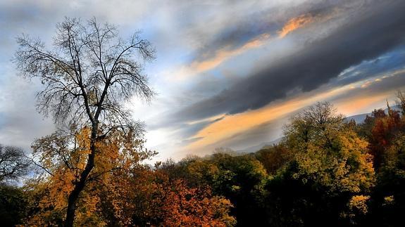 El imperio de las sombras