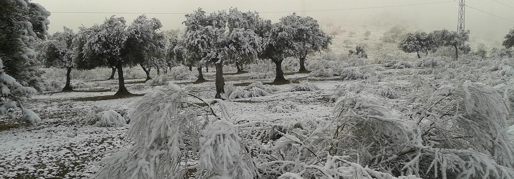 Estado del tráfico en la carretera de la Alpujarra, coches parados en el cruce de Bubión.