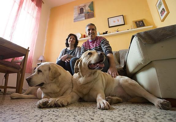 Nala y Greta, junto a sus dueños, Inmaculada Rodríguez y Nicolás García