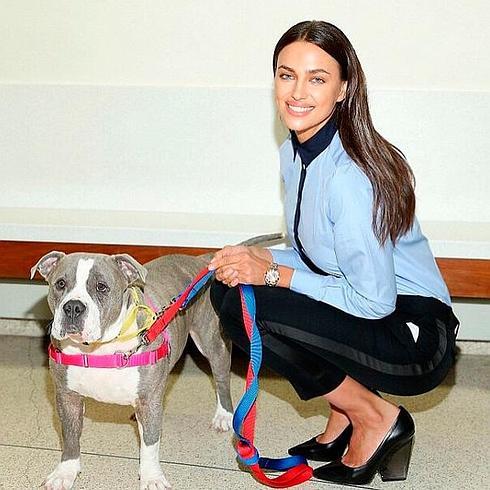 Irina Shayk visita un centro de adopción canina