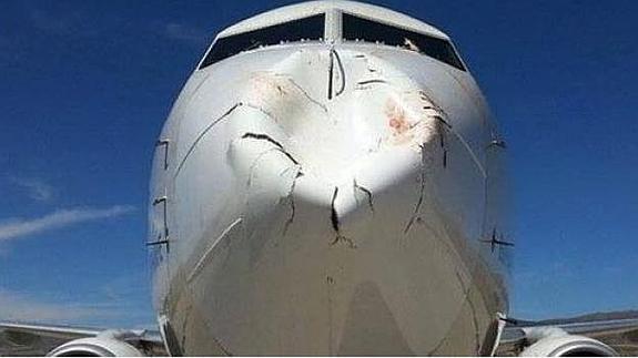 Los pájaros destrozan el morro de un Boeing.