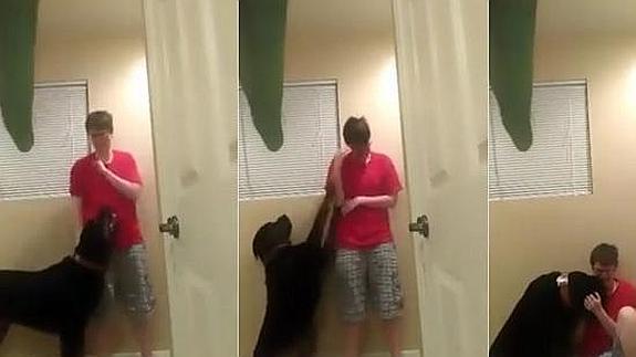 El genial consuelo de un perro a un joven con autismo que entra en crisis