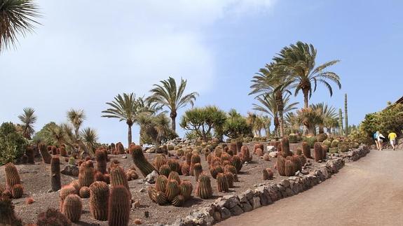 Oasis Park de La Lajita, donde se ha producido el lance. 