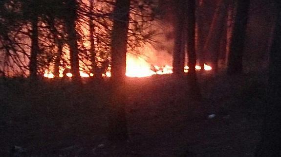 Bomberos de Granada dan por controlado un fuego en los pinares de Cumbres Verdes