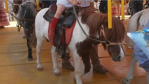 Prohibidas las atracciones de ponis en la Feria Real de Puente Genil