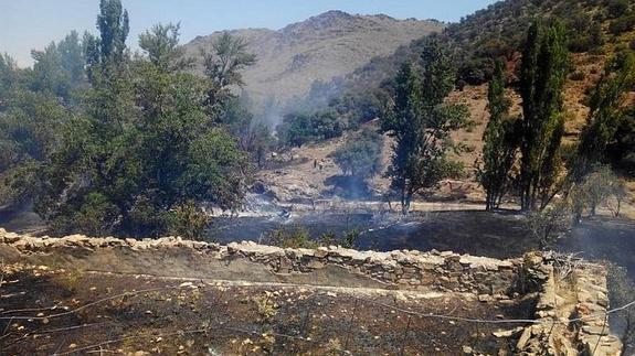 Detenido como presunto autor del incendio del día 15 en Baza