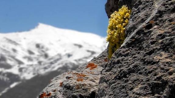 La frontera de las altas cumbres