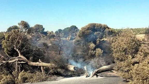 Extinguido el incendio de Quesada, 24 días después de su inicio