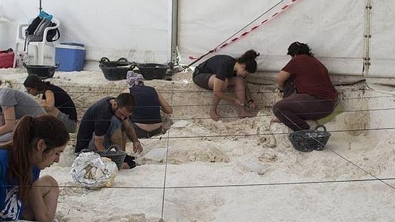 Descubren en Orce 2.700 restos de fauna que ayudarán a conocer la vida de los primeros pobladores de Europa