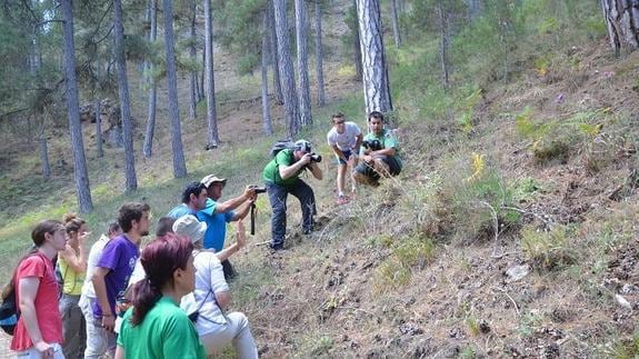 Imparten un curso de introducción a las mariposas en el Parque Natural de Cazorla