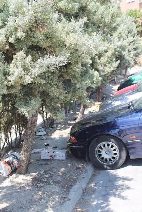 Basura en los jardines del aparcamiento.