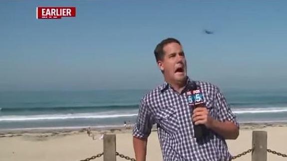 La graciosa reacción de un reportero cuando se le acerca un insecto triunfa en la Red