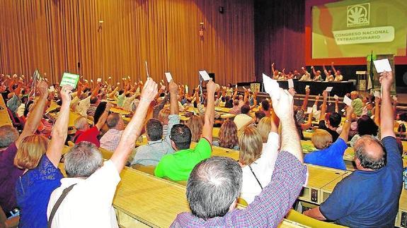 Los delegados presentes ayer en el Palacio de Congresos de Torremolinos, durante la votación a mano alzada.