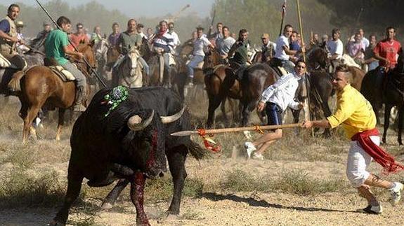 El toro de la Vega.
