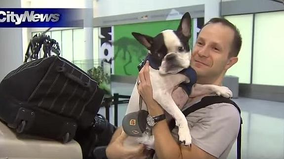 Simba, en Toronto, al reunirse con su dueño.