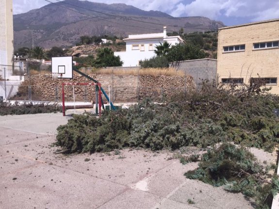 Los vecinos han usado las redes sociales para denunciar la tala de árboles en el colegio público Luis Vives de Dalías.