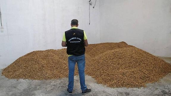 Un agente de la Guardia Civil ante los 13.000 kilos de almendras que incautaron en un almacén. 