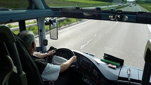 Condenan a una empresa de autobuses por dejar morir al perro de una pasajera