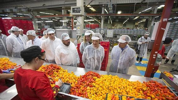 La consejera de Agricultura, Carmen Ortiz, durante la visita que realizó ayer a la cooperativa La Palma. 
