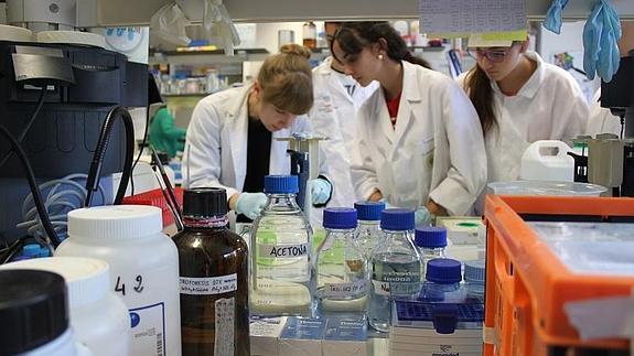 Más de 300 alumnos de Secundaria y Bachillerato se integrarán en grupos de investigación de la UGR y el CSIC