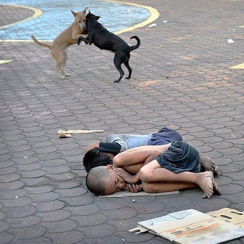 Los 'otros' cachorros de Manila