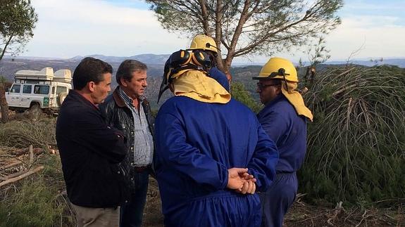 La Junta abre un cortafuegos en Chiclana de Segura como actuación preventiva contra incendios